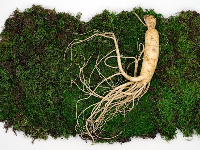 Ginseng Root for Postpartum Hair Recovery: Reviving Follicle Vitality bencaoquan jhoud2weijs unsplash