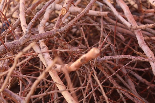 Licorice Root Extract: Balancing Oil and Easing Scalp Irritation giggle jutsu kmqdxg6ckjk unsplash